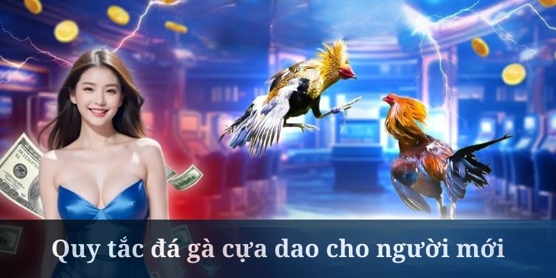 Khi cược đá gà cựa dao cần hiểu rõ quy định